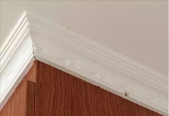 石膏線接縫處開裂